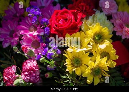 Ostrowo, Polonia. 01st maggio, 2023. Fiori e bouquet sono in vendita in un negozio di fiori. La Festa della mamma di quest'anno cade il 14 maggio. Credit: Fernando Gutierrez-Juarez/dpa/Alamy Live News Foto Stock