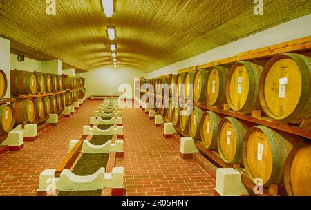 Botti di rovere di vino in cantina Foto Stock