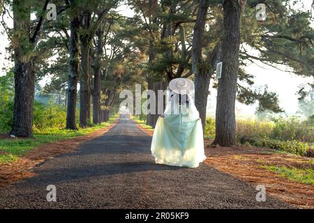 Una coppia gode di una vacanza in un'antica strada alberata di pini a PLEIKU City, provincia di Gia Lai, Vietnam Foto Stock