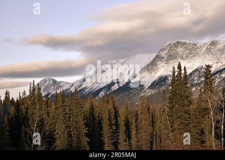 Splendido paesaggio invernale vicino a Whitehorse nel territorio dello Yukon, con enormi montagne innevate sulla strada per Atlin, British Columbia. Foto Stock