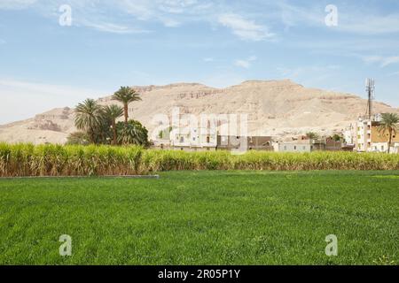 Malkata Palace, l'ex Palazzo reale di Amenhotep III Foto Stock