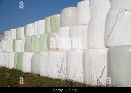 Molte balle da fieno impilate con cielo blu in campagna Foto Stock