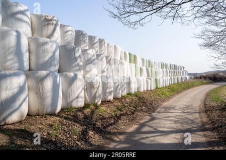 Strada di campagna in primavera con balle di fieno avvolte sul lato Foto Stock