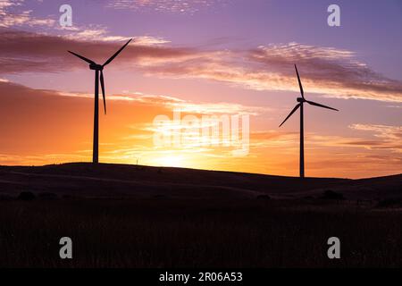 Parco eolico di Lake Bonney e tramonto vicino a Millicent, Australia Meridionale Foto Stock