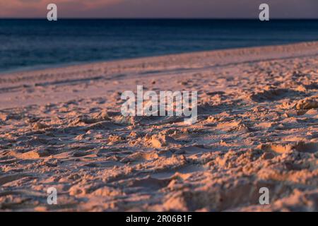 Tramonto su Wilson Island, Grande barriera Corallina, Queensland Australia Foto Stock