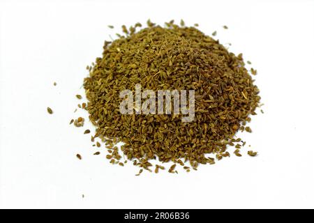 Anise, Pimpinella anisum chiamato anche anice o anice, una pianta fiorente della famiglia Apiaceae, ampiamente coltivata e usata per aromatizzare il cibo, caramelle, e. Foto Stock