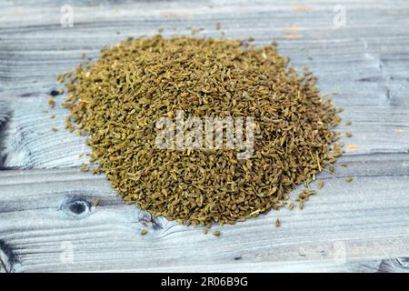 Anise, Pimpinella anisum chiamato anche anice o anice, una pianta fiorente della famiglia Apiaceae, ampiamente coltivata e usata per aromatizzare il cibo, caramelle, e. Foto Stock