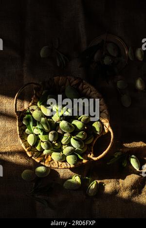 palma di mandorle verdi raccolte fresche dalla fattoria Foto Stock