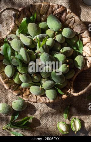 palma di mandorle verdi raccolte fresche dalla fattoria Foto Stock