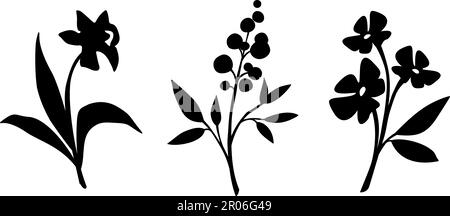 Set di fiori. Silhouette nere di fiori isolate su sfondo bianco. Illustrazione vettoriale Illustrazione Vettoriale
