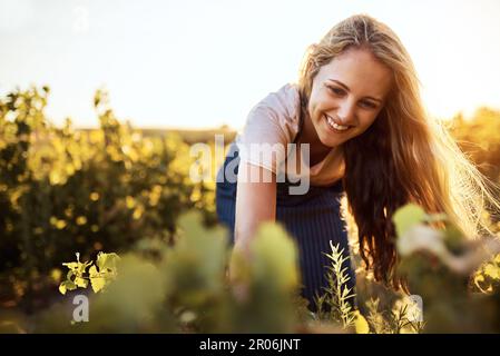 Avvicinandosi e personale con i suoi raccolti. una giovane donna attraente che tende ai suoi raccolti in una fattoria. Foto Stock