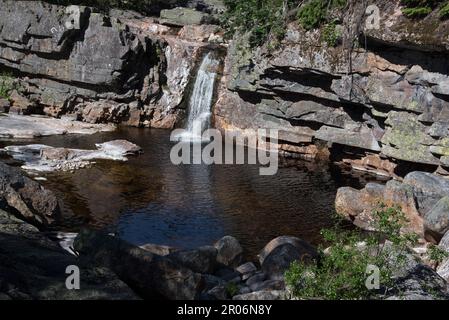 Piccola cascata nella foresta nel comune di Flesberg nella contea di Buskerud in Norvegia. Foto Stock