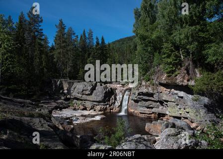 Piccola cascata nella foresta nel comune di Flesberg nella contea di Buskerud in Norvegia. Foto Stock