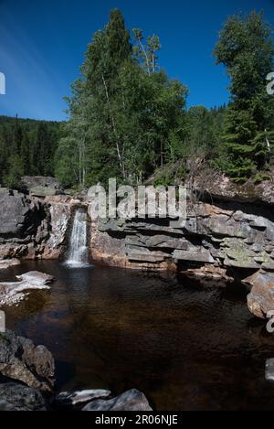 Piccola cascata nella foresta nel comune di Flesberg nella contea di Buskerud in Norvegia. Foto Stock