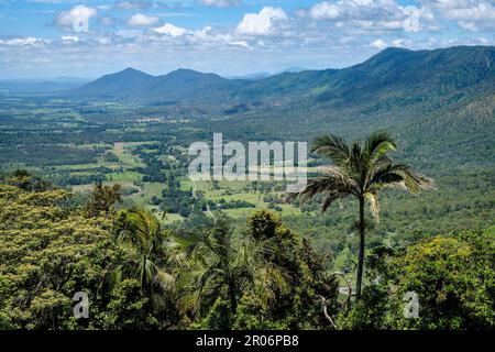 Ammira la Pioneer Valley da Goodes Lookout, Eungella, Queensland, Australia Foto Stock