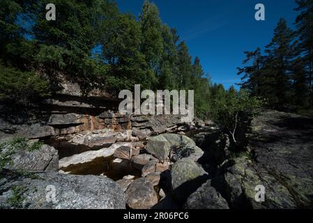 Piccola cascata nella foresta nel comune di Flesberg nella contea di Buskerud in Norvegia. Foto Stock