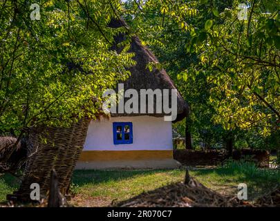 Casa Tradizionale di Dumitra. Nazionale Museo del villaggio (Muzeul Satului) al Parco Herastrau Bucarest, Romania Foto Stock