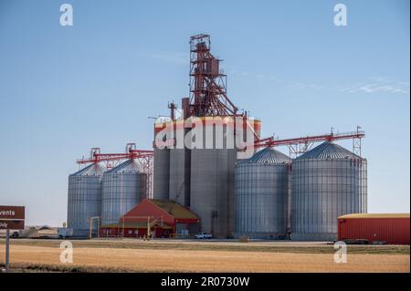 Melfort, Saskatchewan - 9 ottobre 2022: Terminale di grano Richardson Pioneer nella zona rurale di Saskatchewan. Foto Stock