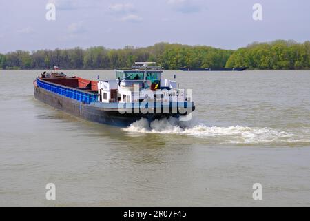 Grande chiatta che naviga sotto la bandiera della Romania sul fiume Danubio. Foto Stock