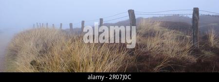 Recinzione nel paesaggio delle dune, nebbia, Sylt, Isola Frisone del Nord, Frisia del Nord, Mare del Nord, Schleswig-Holstein, Germania, Europa Foto Stock