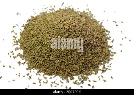 Anise, Pimpinella anisum chiamato anche anice o anice, una pianta fiorente della famiglia Apiaceae, ampiamente coltivata e usata per aromatizzare il cibo, caramelle, e. Foto Stock