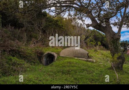 Vecchio bunker militare sul capo di Rodon Albania. Foto Stock