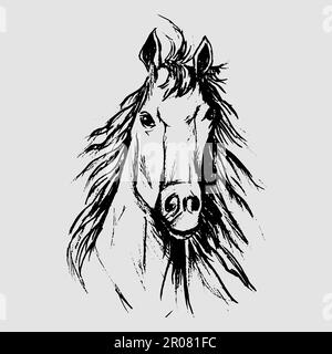 Horse scetch dalle matite di colore nero in eps Illustrazione Vettoriale