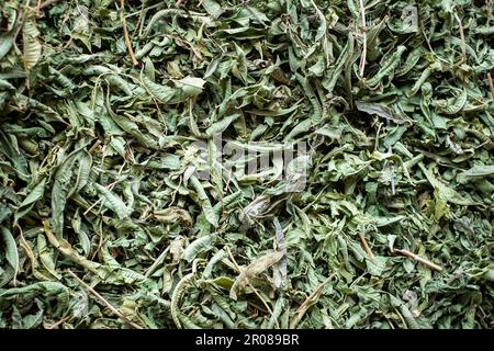 Melissa essiccata o Balm closeup Foto Stock