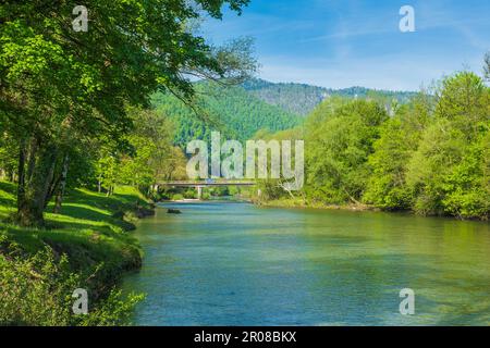 Canyon del fiume Kupa in primavera, kotar Gorski, Croazia Foto Stock