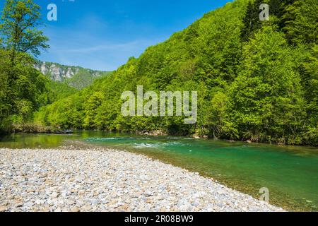 Canyon del fiume Kupa in primavera, kotar Gorski, Croazia Foto Stock