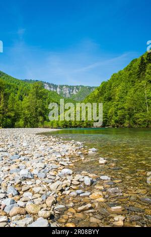 Canyon del fiume Kupa in primavera, kotar Gorski, Croazia Foto Stock