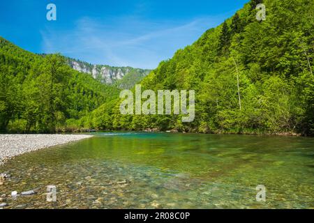 Canyon del fiume Kupa in primavera, kotar Gorski, Croazia Foto Stock