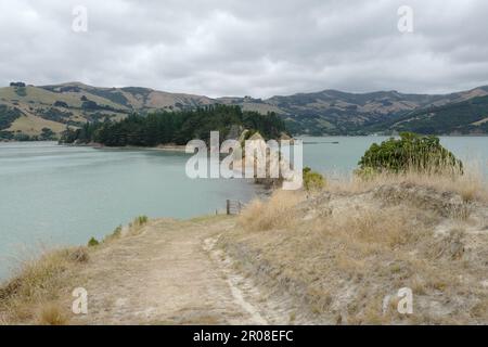 Scogliere gialle a Barrys Bay sull'Isola Sud della Nuova Zelanda Foto Stock