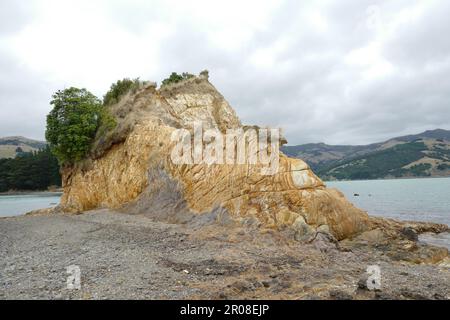 Scogliere gialle a Barrys Bay sull'Isola Sud della Nuova Zelanda Foto Stock