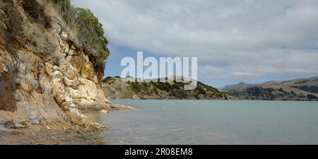 Scogliere gialle a Barrys Bay sull'Isola Sud della Nuova Zelanda Foto Stock