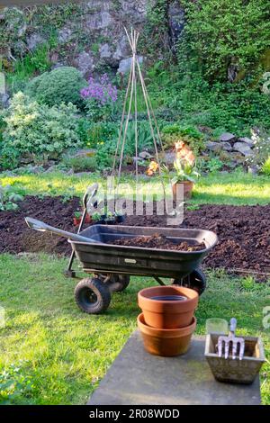 Letto rialzato in piccolo paese indietro maggio giardino in primavera con fresco strato di compost da carro e rockery in Carmarthenshire Galles UK KATHY DEWITT Foto Stock