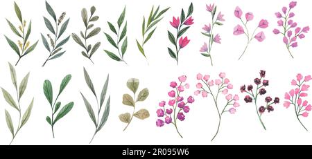 Illustrazione vettoriale di brunch con foglie verdi e fiori rosa. Elemento verde dipinto a mano con effetti acquerello. Singole clipart naturali Illustrazione Vettoriale