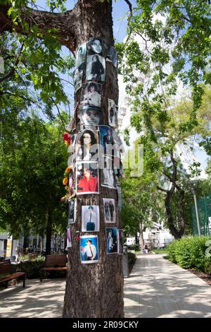 Michael Jackson Memorial Tree di fronte al Kempinski Hotel, Budapest, Ungheria Foto Stock