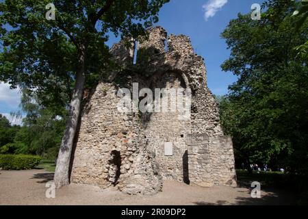 Le rovine del monastero francescano sull'isola di Margaret si trovano nel centro dell'isola, Budapest, Ungheria Foto Stock