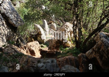Sentiero escursionistico, POV, El Torcal de Antequera parco naturale, Andalusia, Spagna Foto Stock