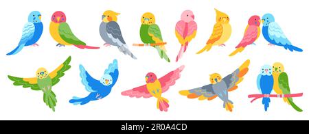Set di cartoni animati tropicali pappagalli. Estate luminosa esotica seduta e raccolta di uccelli volanti. Fauna selvatica giungla carino pappagalli hawaiani, simpatici simpatici personaggi parakeet disegnati a mano vivido vettore illustrazione Illustrazione Vettoriale