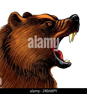 Orso grizzly arrabbiato. Inchiostro disegnato a mano su carta e colorato a mano su tavoletta Foto Stock