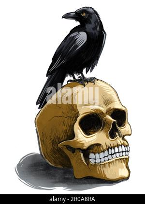 Cranio umano e corvo. Inchiostro disegnato a mano su carta e colorato a mano su tavoletta Foto Stock
