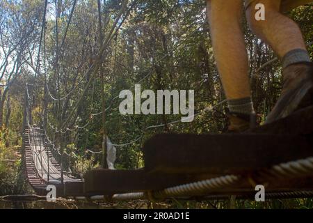 Attraversando il fiume Loddon sul sentiero per Frenchmans Cap Foto Stock