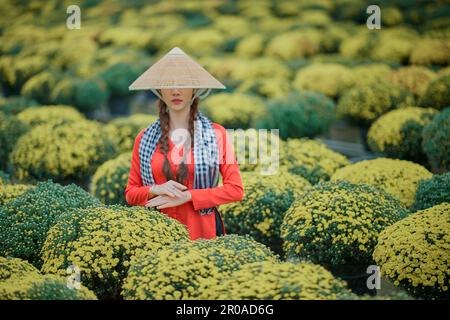 8 gennaio 2023: Ritratto di una bella ragazza vietnamita nel giardino di crisantemo lampone nella città di SA Dec Foto Stock