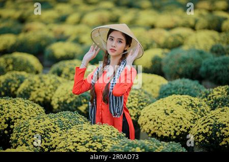 8 gennaio 2023: Ritratto di una bella ragazza vietnamita nel giardino di crisantemo lampone nella città di SA Dec Foto Stock