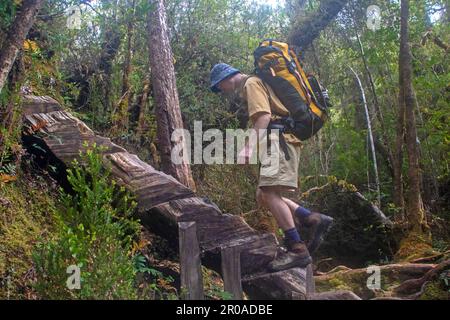 Escursionista che sale verso il Passo Barron sul sentiero per Frenchmans Cap Foto Stock