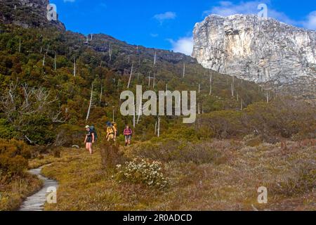 Escursionisti sotto Frenchmans Cap Foto Stock