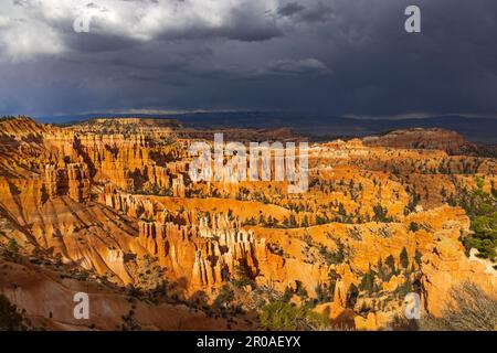 Le nuvole scure minacciano da est quando il sole illumina l'anfiteatro di Bryce al Bryce Canyon National Park, Bryce Canyon City, Utah, USA. Foto Stock