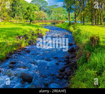 Ponte sul torrente Keahua presso l'Arboreto di Keahua, Kauai, Hawaii, USA Foto Stock